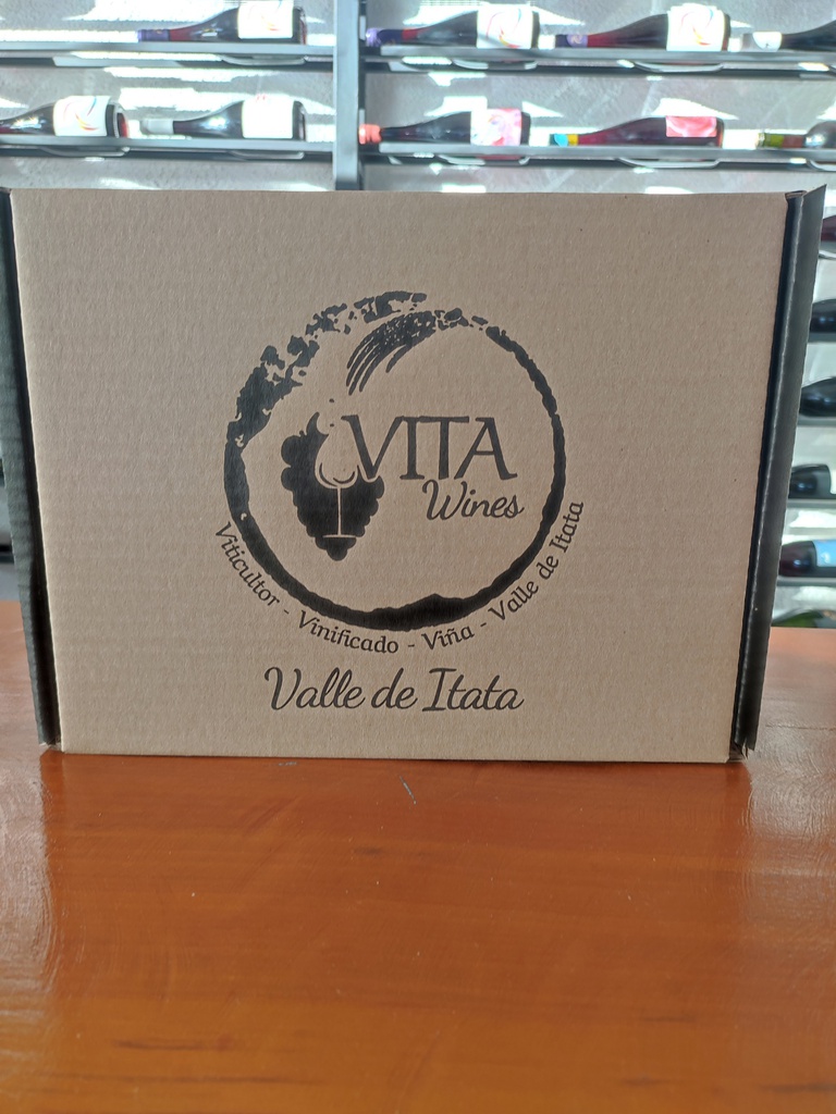 EXPO VINOS VALLE DEL ITATA (copia)